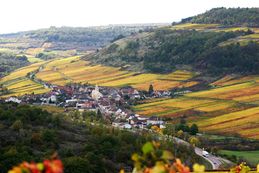 Domaine Henri Prudhon & Fils
